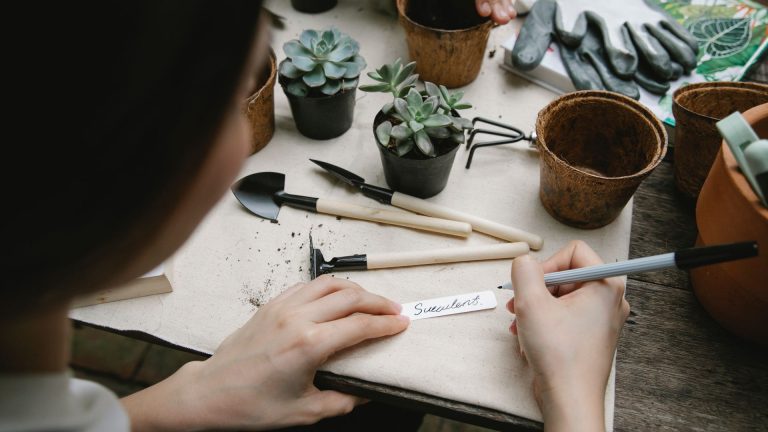 Comment lancer une activité de jardinage en micro-entreprise ?