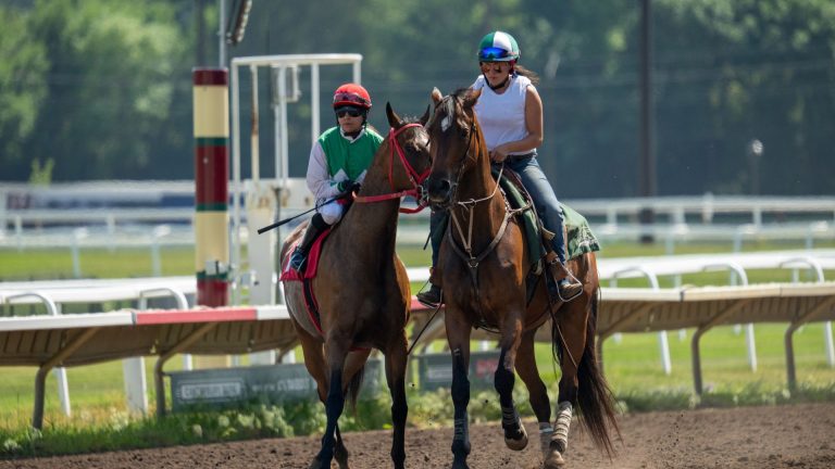 Galop d’essai : définition et origine de l’expression